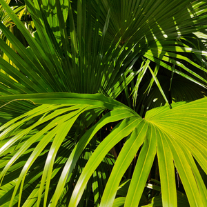 伴娘扒开腿㊙️免费视频
